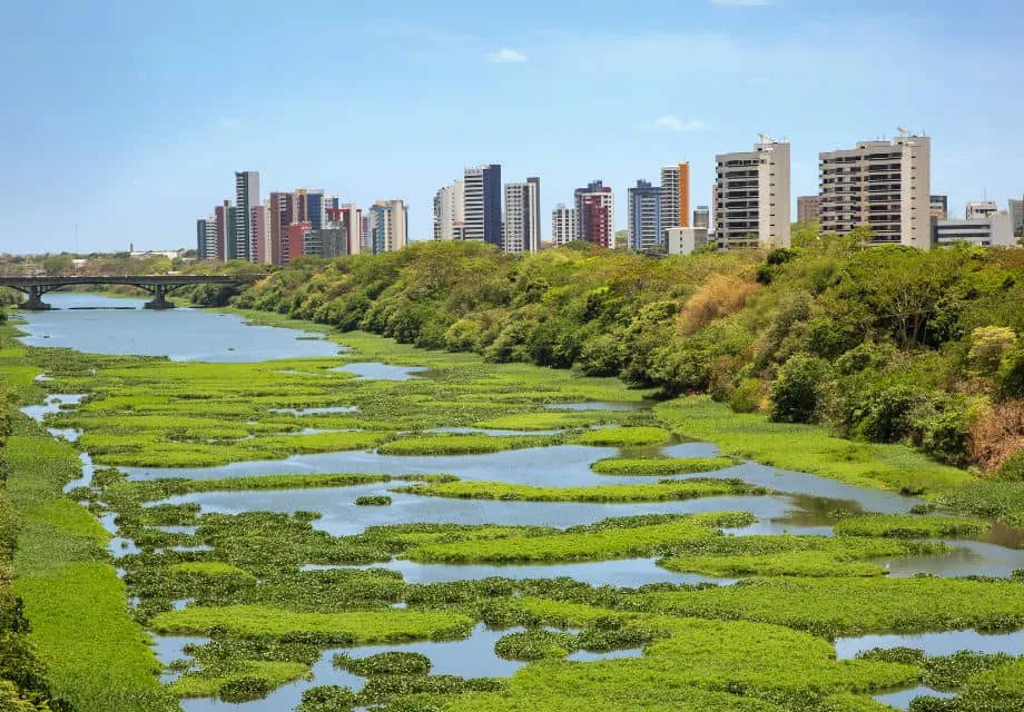 Ônibus para Teresina