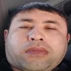 Sardor