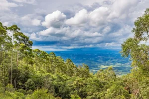 O que fazer em Poços de Caldas