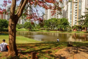 Parque em Goiania