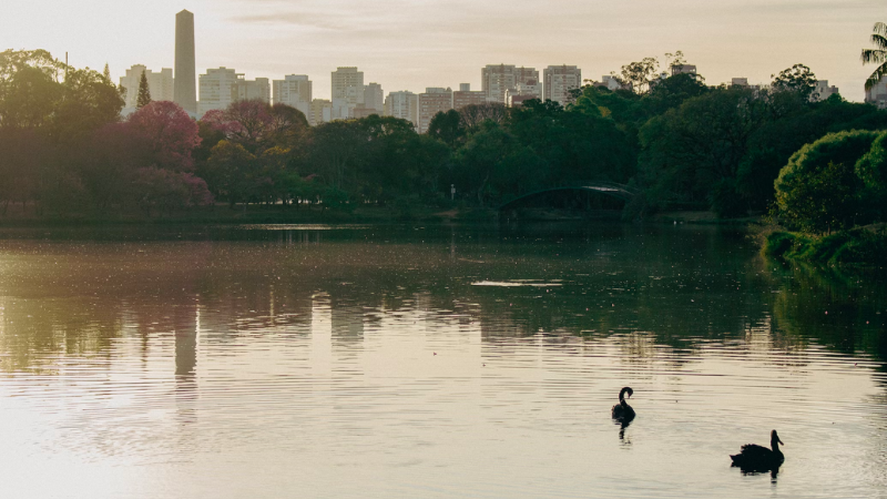 O que fazer em São Paulo