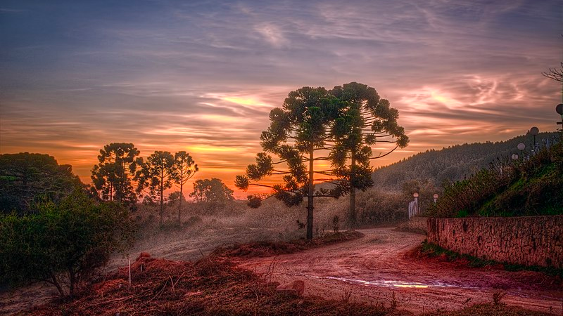 O que fazer em Monte Verde