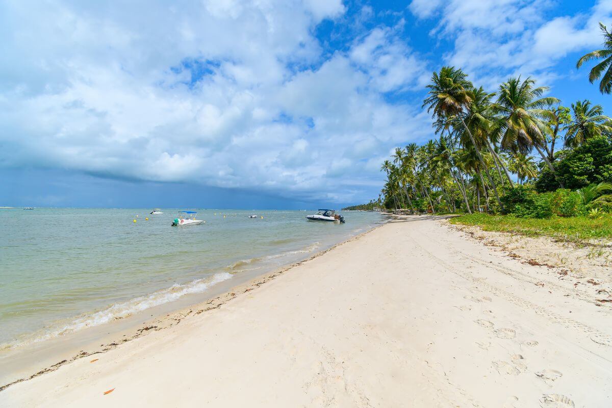 10 praias para você incluir no seu roteiro de viagem, Praia dos Carneiros, PE