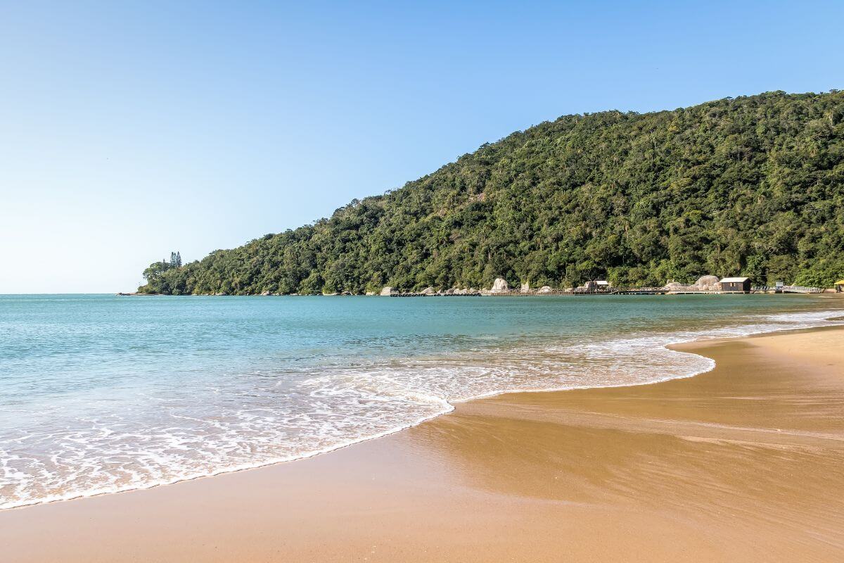 10 praias para você incluir no seu roteiro de viagem, Praia de Laranjeiras, Santa Catarina