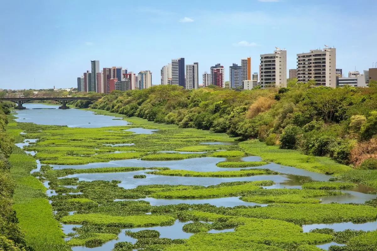 O que fazer em Teresina: Descubra os encantos da capital do Piauí