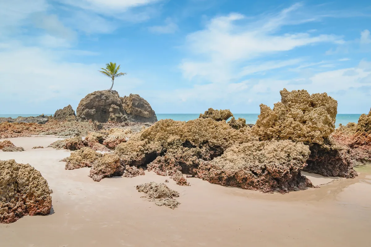 Praia de Tambaba