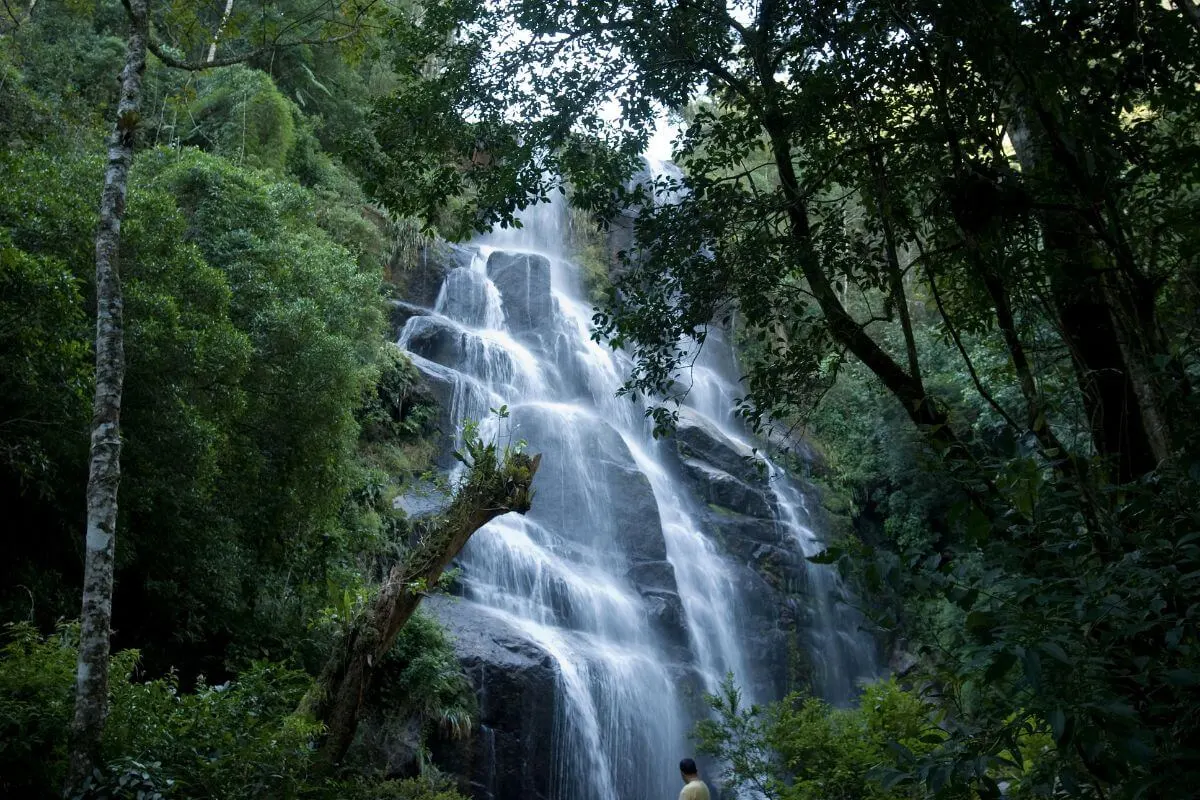 Descubra o Parque Nacional do Itatiaia: Guia completo para explorar as belezas naturais