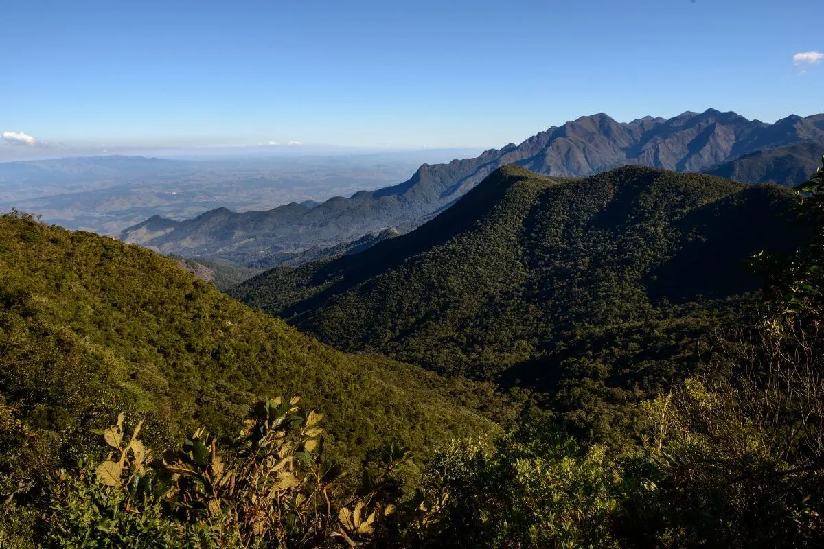 Descubra o Parque Nacional do Itatiaia: Guia completo para explorar as belezas naturais