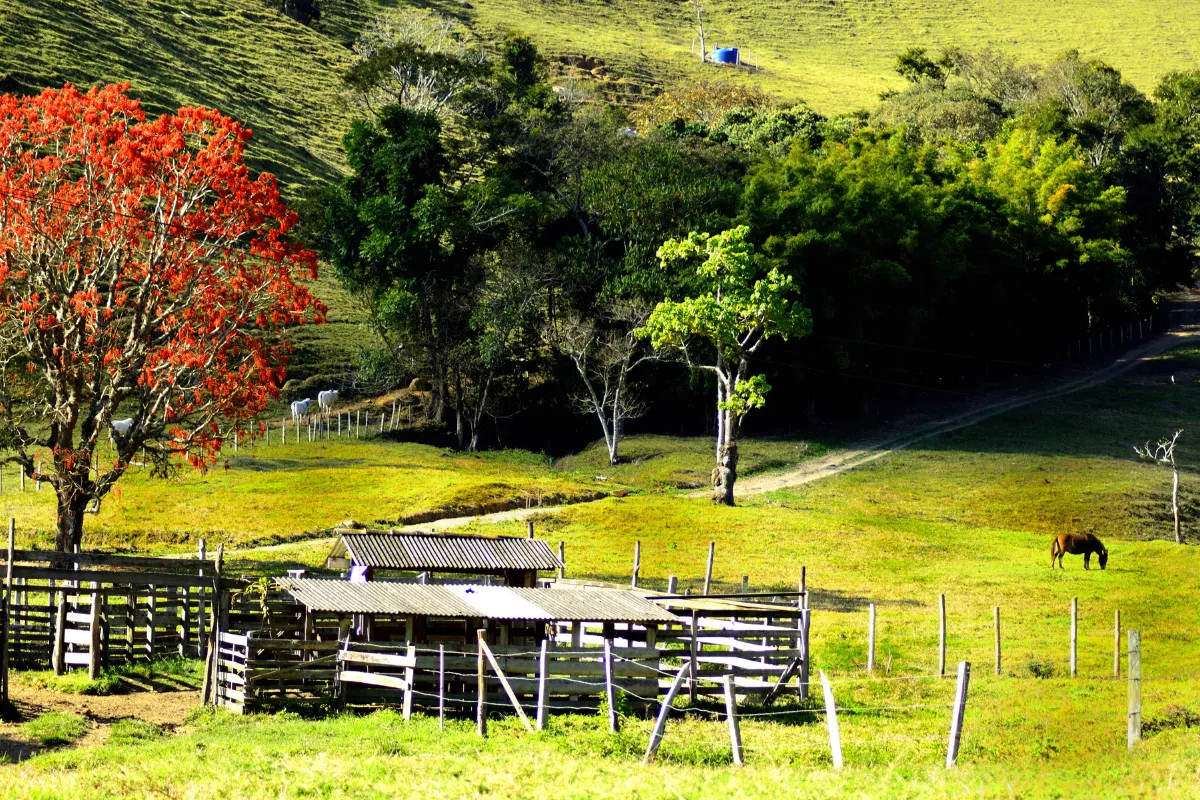 Santo Antônio do Pinhal