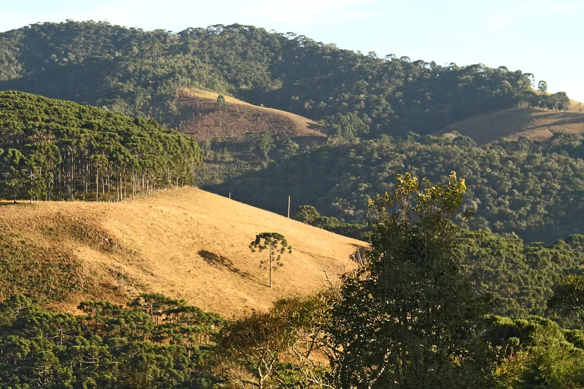 Gonçalves, um dos melhores lugares para conhecer em Minas Gerais