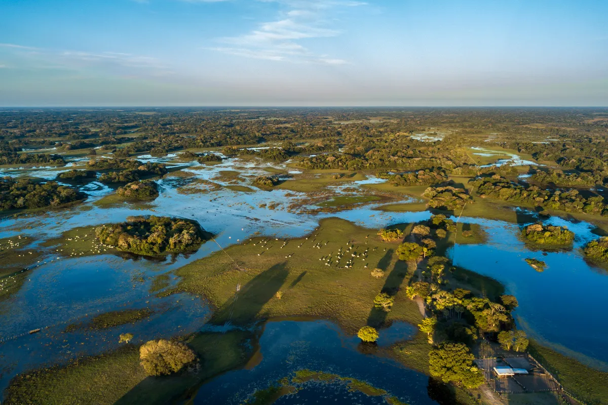 Pantanal