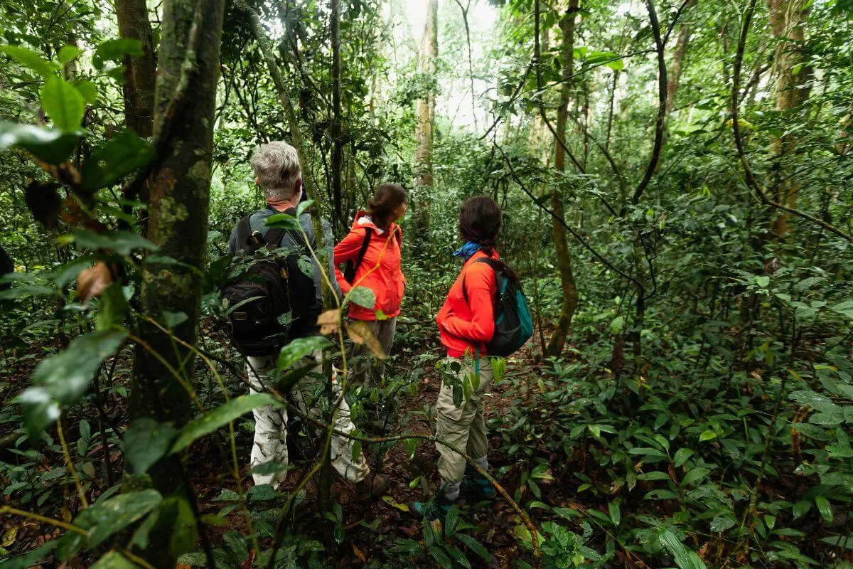 Tudo o que você precisa saber sobre Ecoturismo: Guia para aventuras sustentáveis