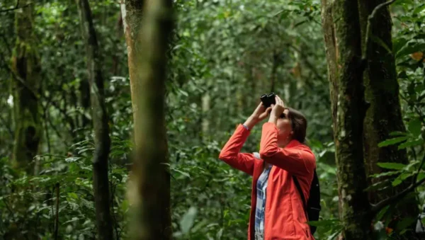 turismo sustentável e ecoturismo no brasil