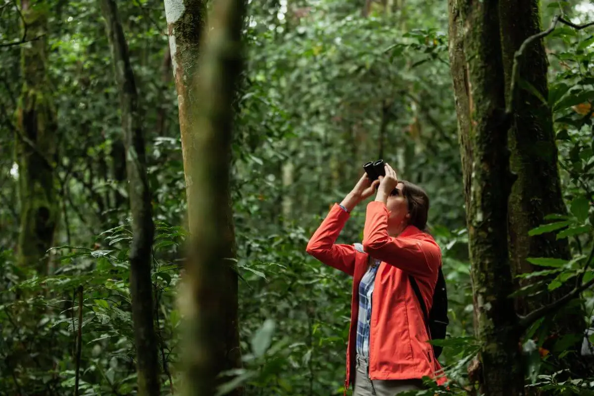 Tudo o que você precisa saber sobre Ecoturismo: Guia para aventuras sustentáveis