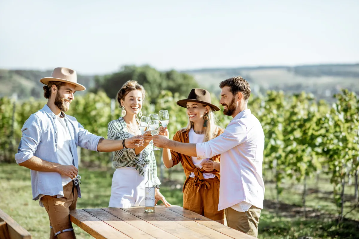 Rota do Vinho no Brasil