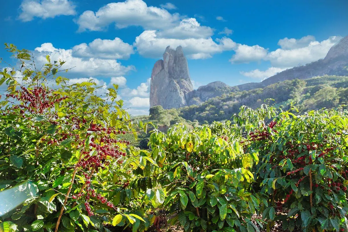 6 dicas para as explorar as montanhas Capixabas: Descubra as belezas do Espírito Santo