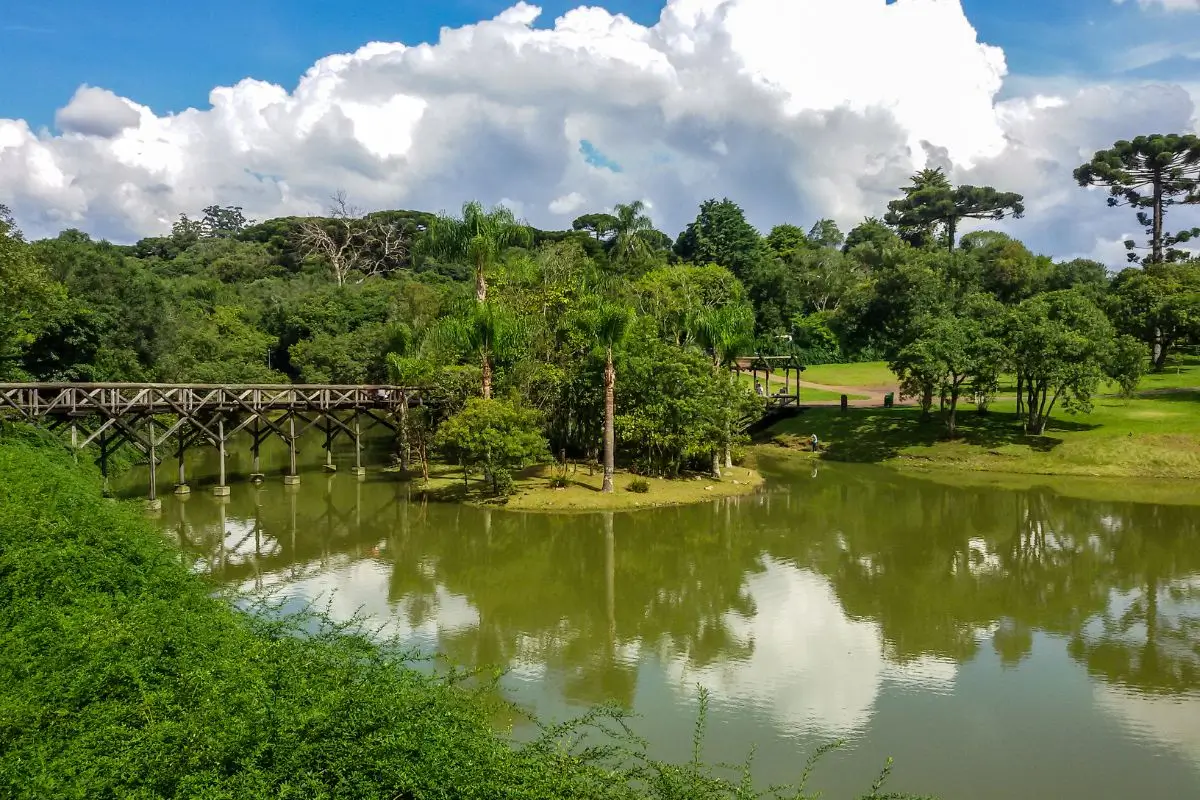 Descubra o Jardim Botânico de Curitiba!