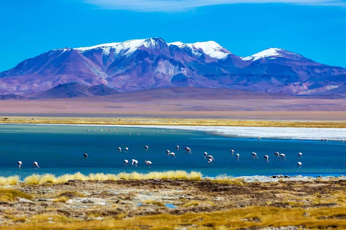 Descubra os melhores pontos turísticos do Chile!