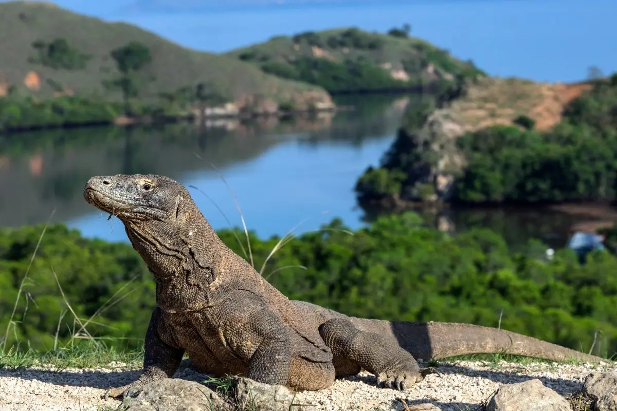 Você conhece as 7 maravilhas naturais do mundo? Veja agora!