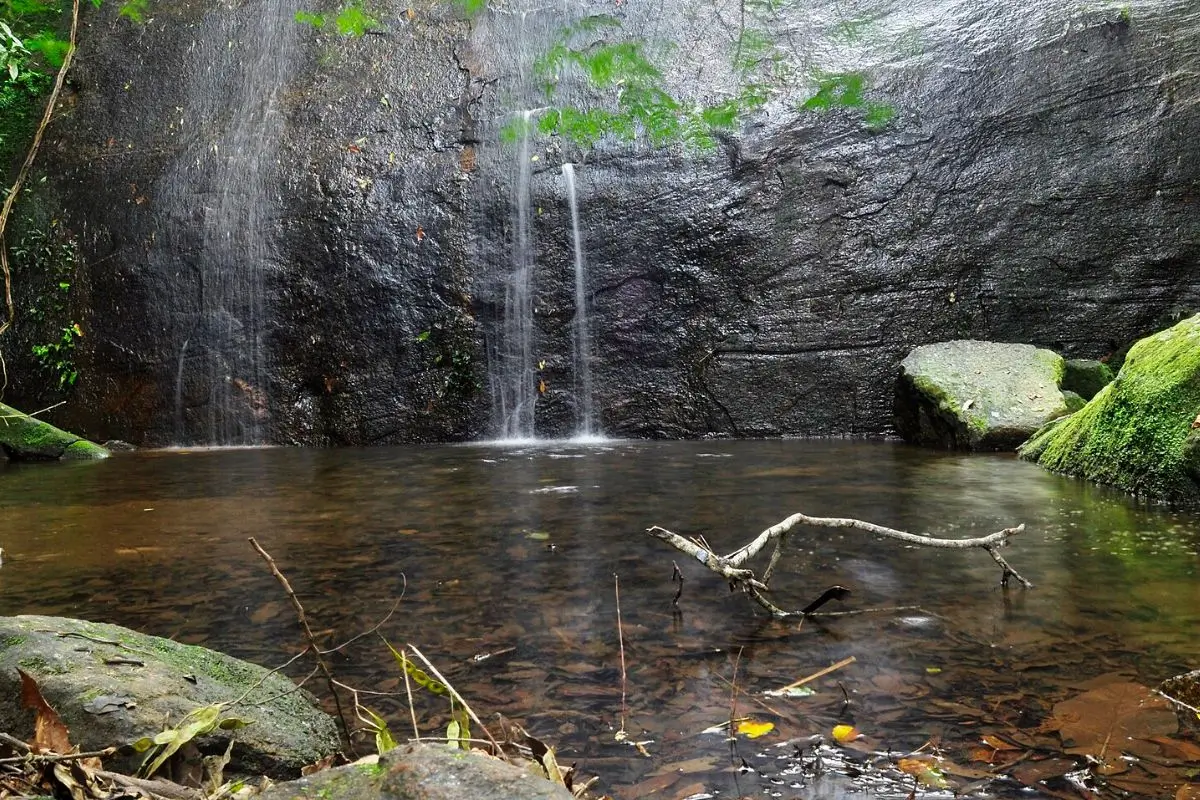 Trilhas rj: 8 melhores trilhas do Rio de Janeiro: Um passeio pela natureza carioca