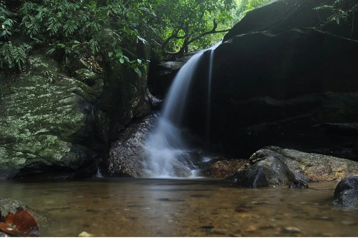 Trilhas rj: 8 melhores trilhas do Rio de Janeiro: Um passeio pela natureza carioca