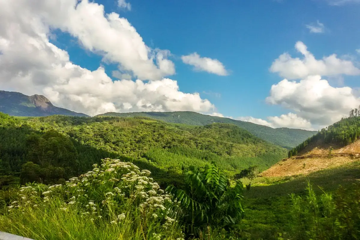 lugares para viajar no dia das maes saindo de SP: Monte verde
