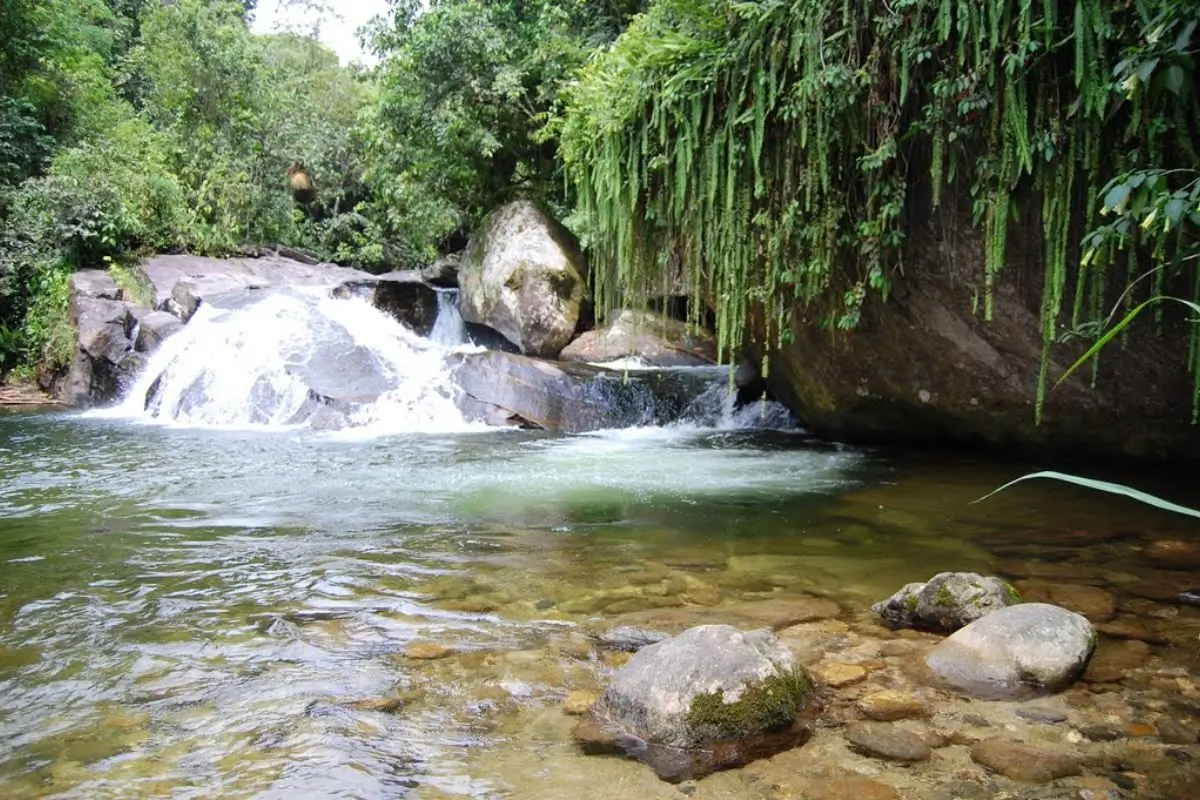 O que fazer em Cachoeiras de Macacu: Guia para experienciar a natureza no interior do RJ