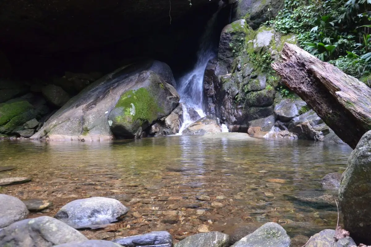 O que fazer em Cachoeiras de Macacu: Guia para experienciar a natureza no interior do RJ