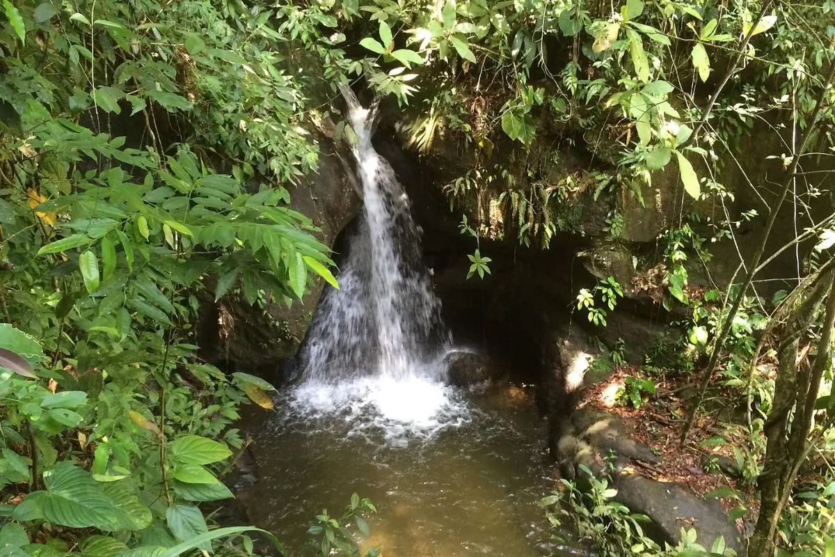 O que fazer em Cachoeiras de Macacu: Guia para experienciar a natureza no interior do RJ