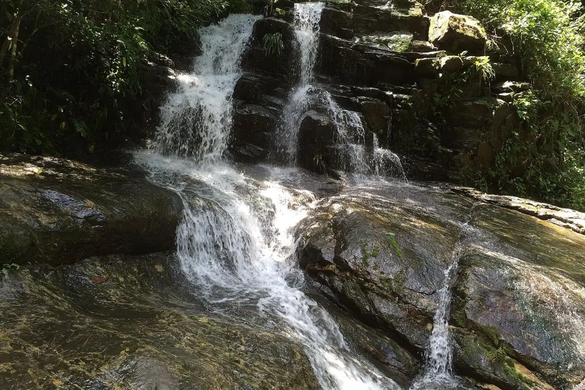 O que fazer em Cachoeiras de Macacu: Guia para experienciar a natureza no interior do RJ