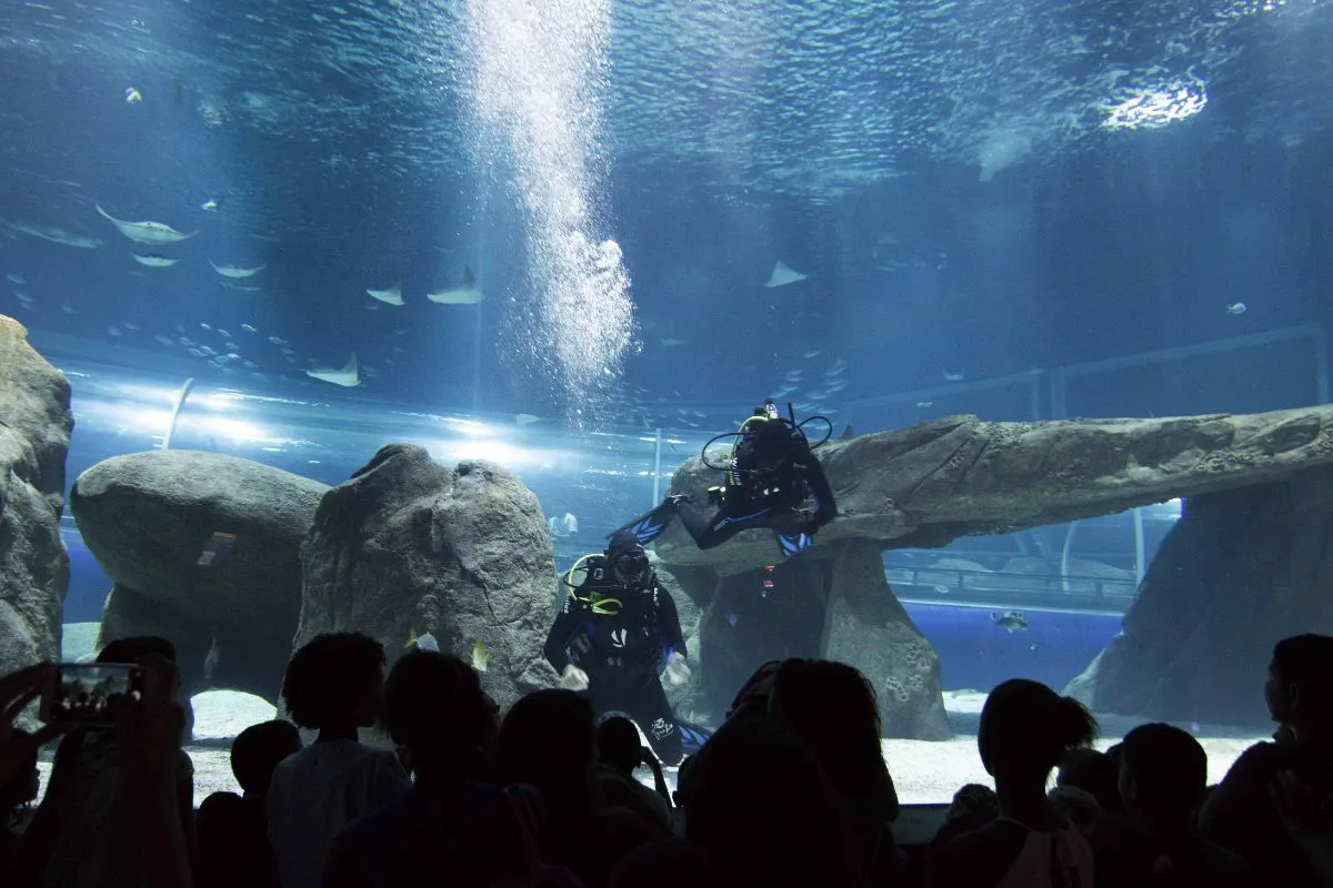 AquaRio Rio de Janeiro