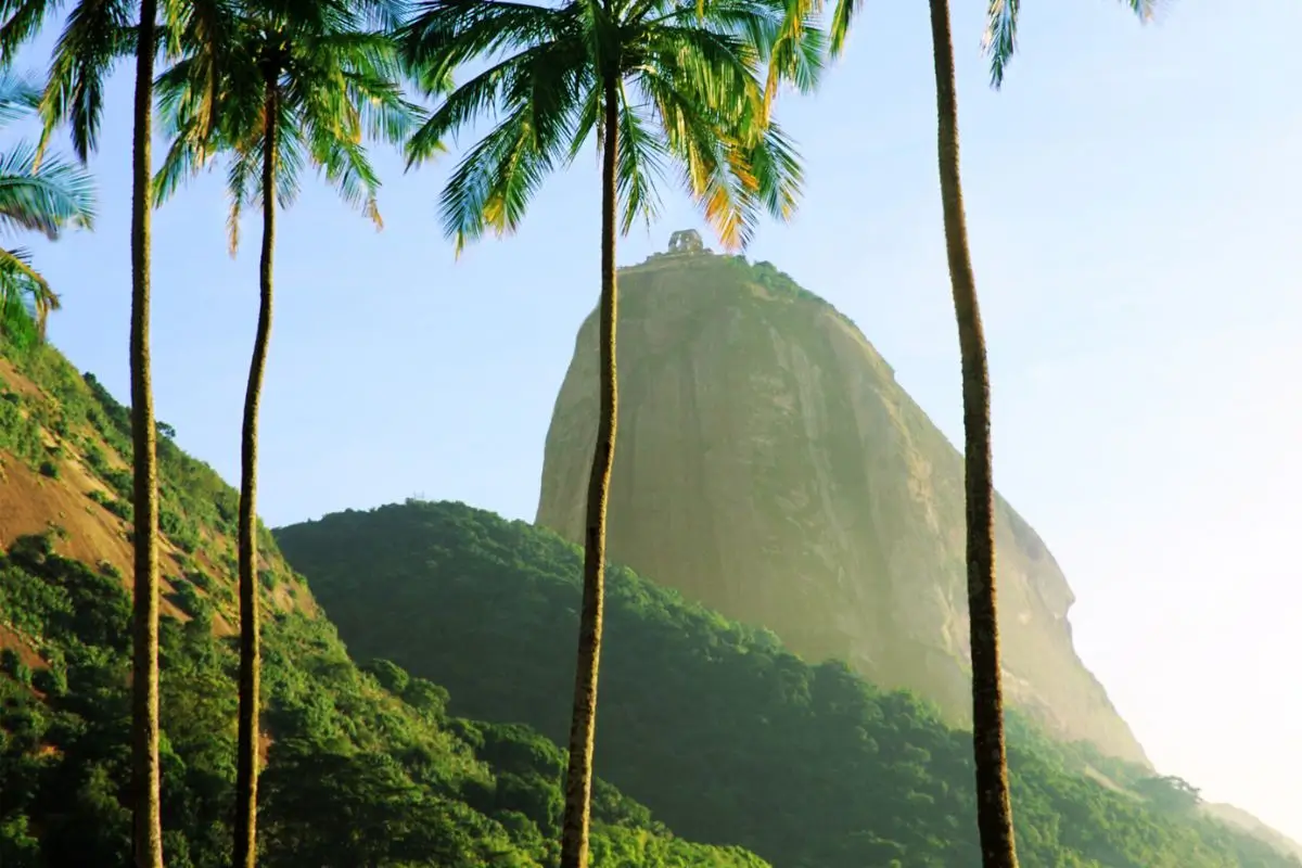 Parque Bondinho Pão de Açúcar: Um passeio na montanha mais doce do Brasil