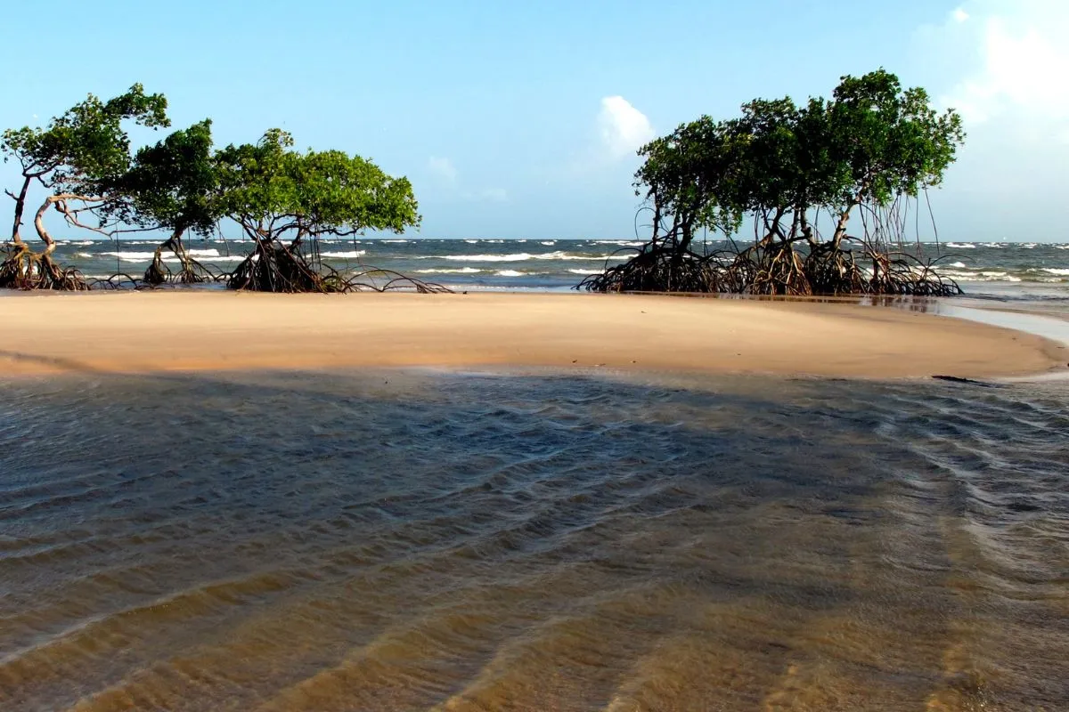 ilha de marajó