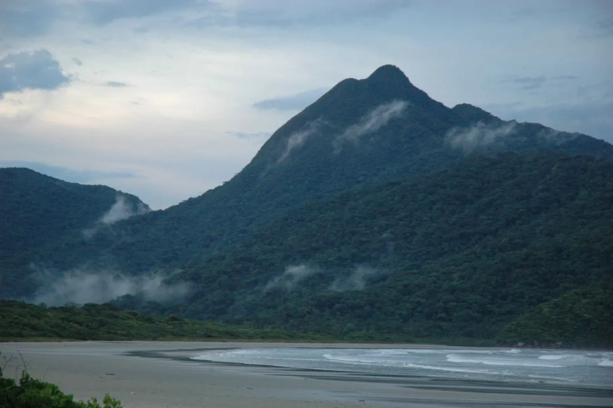 Ilha do cardoso