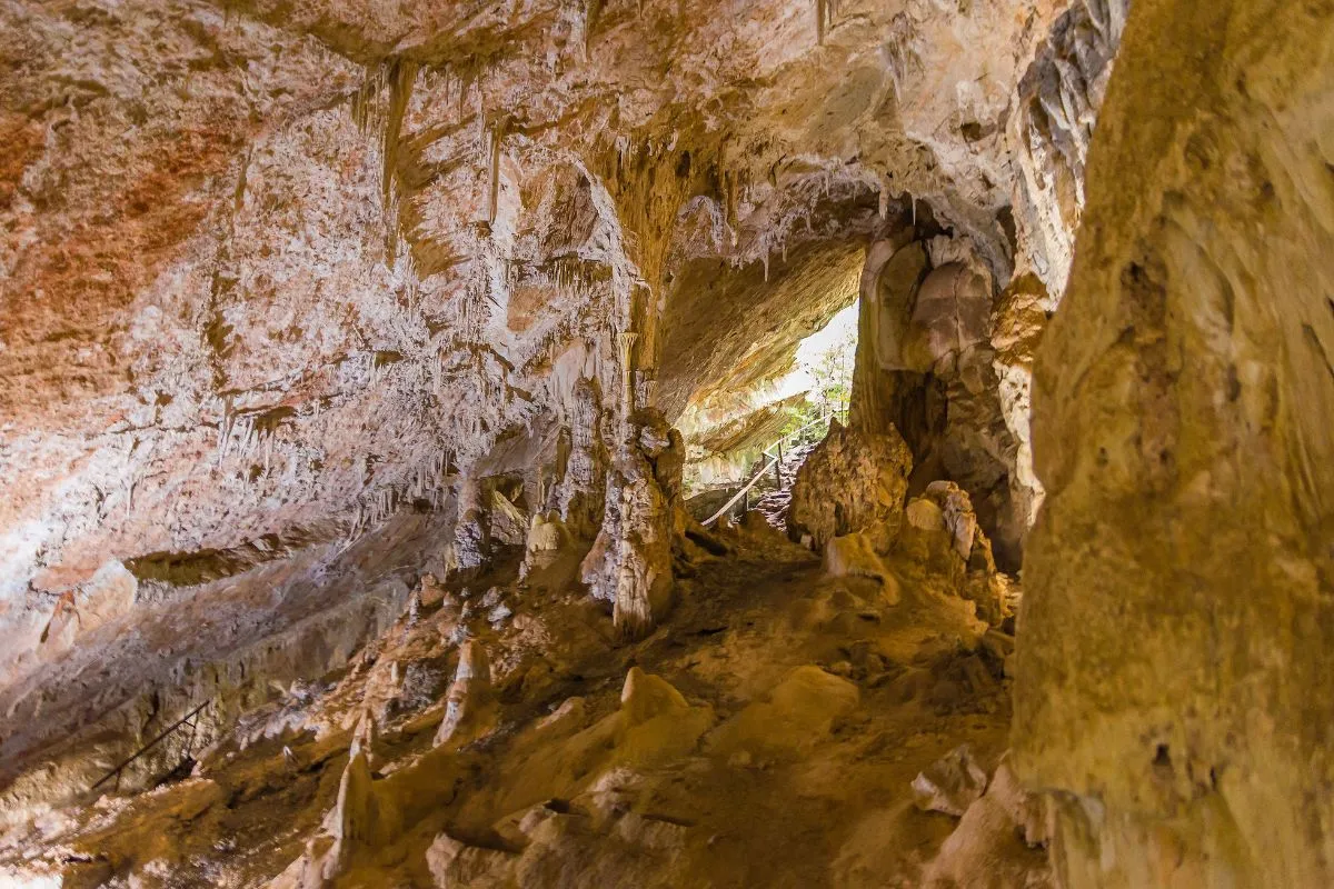 Grutas em Bonito, MS: Guia Completo para mergulhar nas cavernas paradisíacas