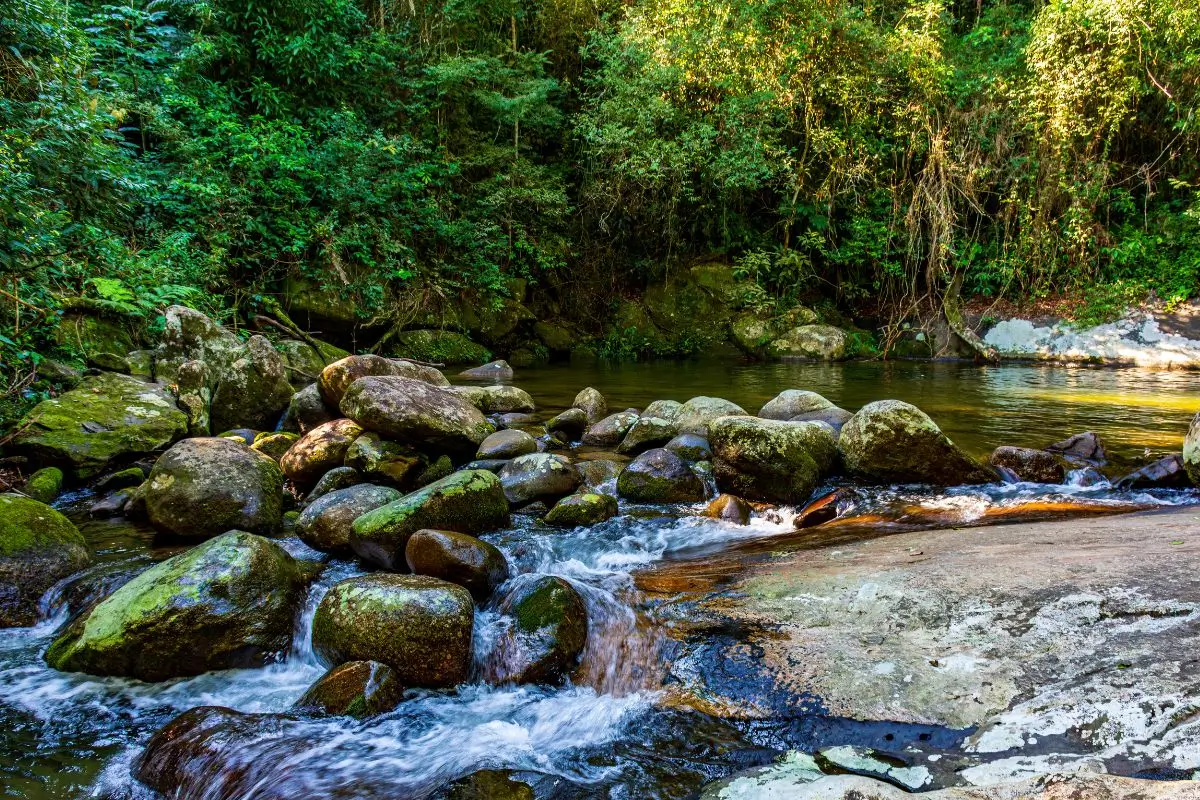 Descubra as 12 melhores cachoeiras em SP