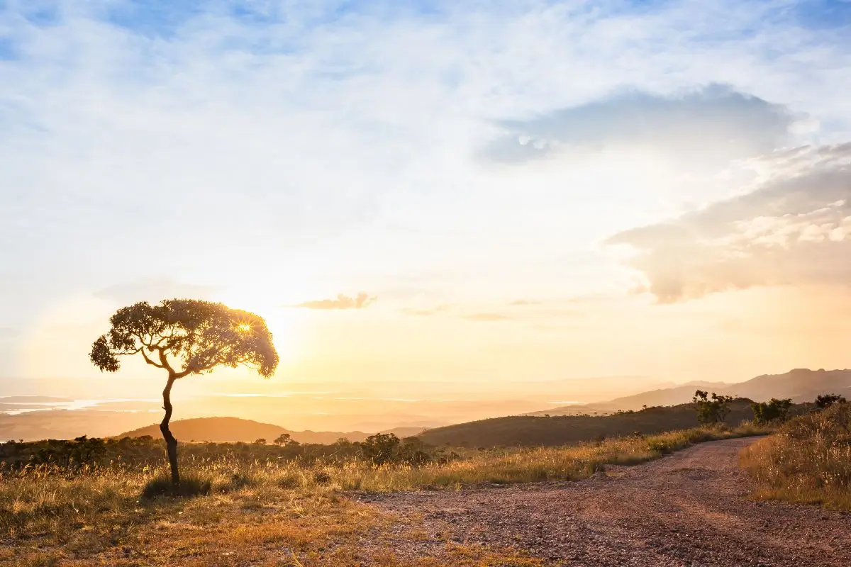 O que fazer em Delfinópolis: Um Paraíso Natural na Serra da Canastra