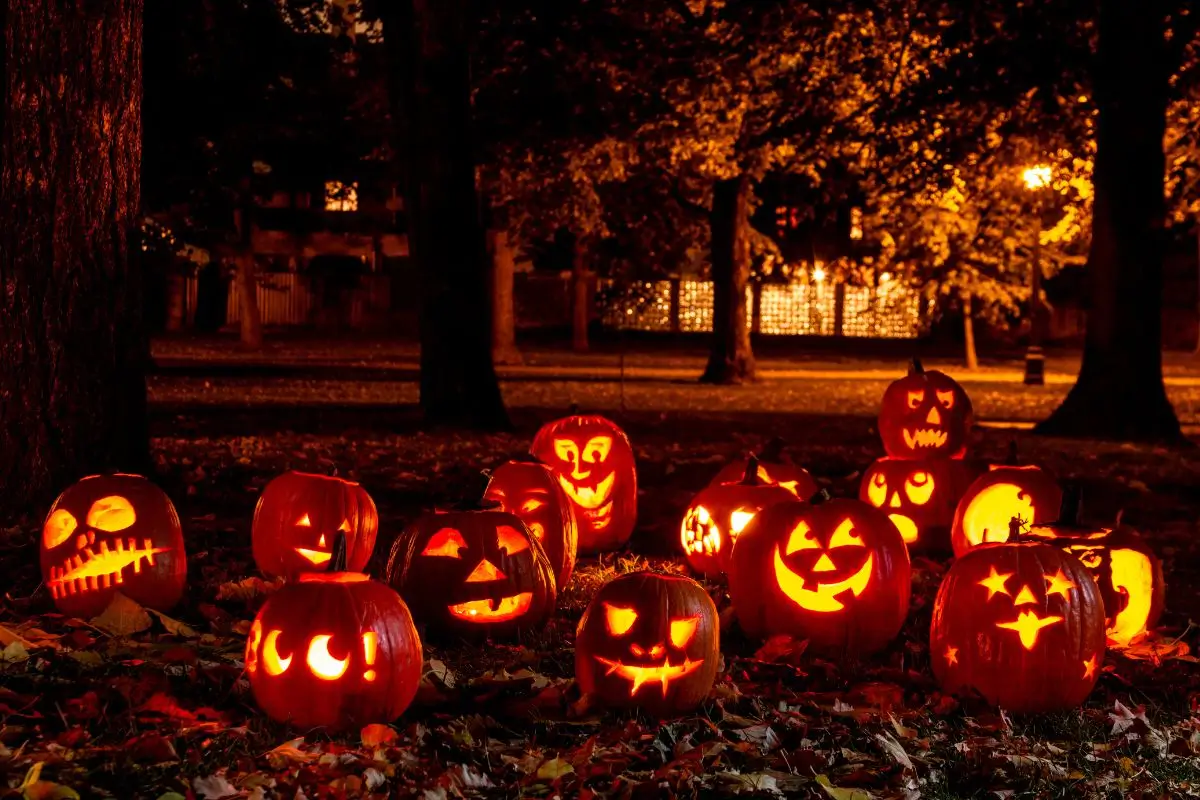 Halloween 2024: O que fazer e para onde viajar esse ano