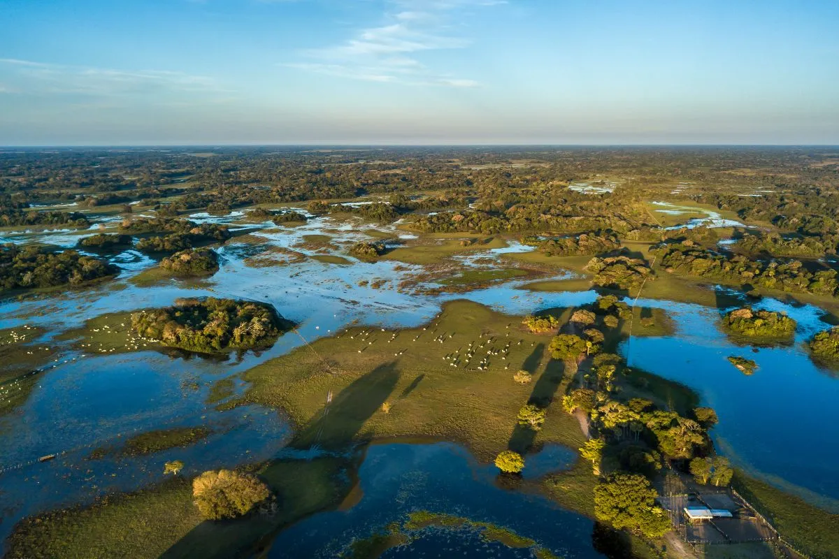 Pantanal brasileiro