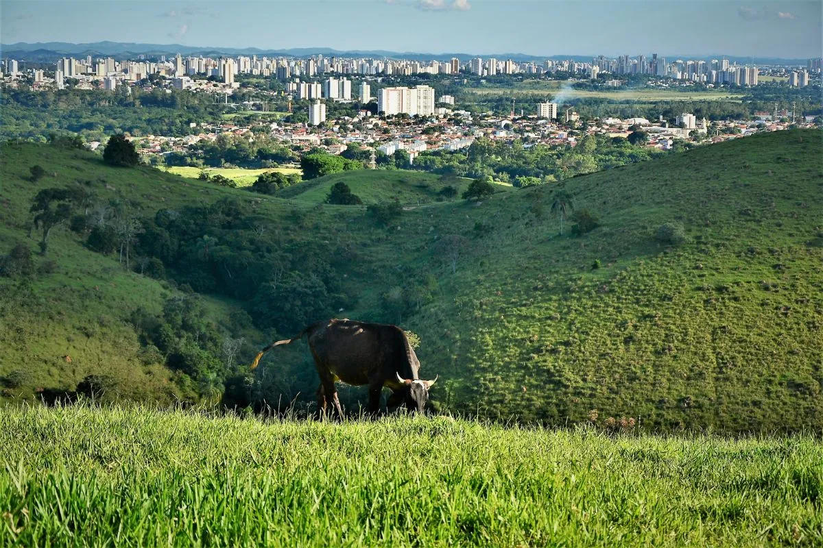 Vista para São José dos Campos