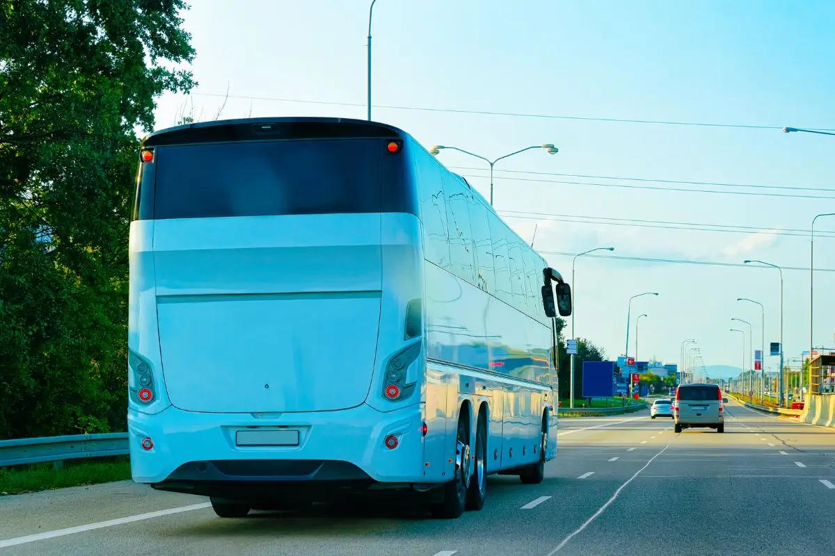 viagem de onibus: Turismo sustentável cresce entre brasileiros em 2025