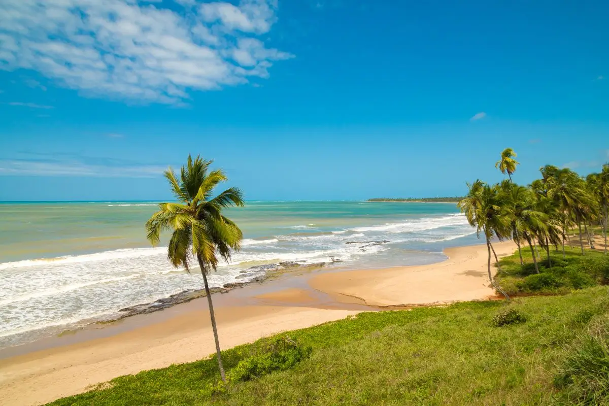 O que fazer Japaratinga: Melhores atrações e pontos turísticos para explorar a Costa dos Corais