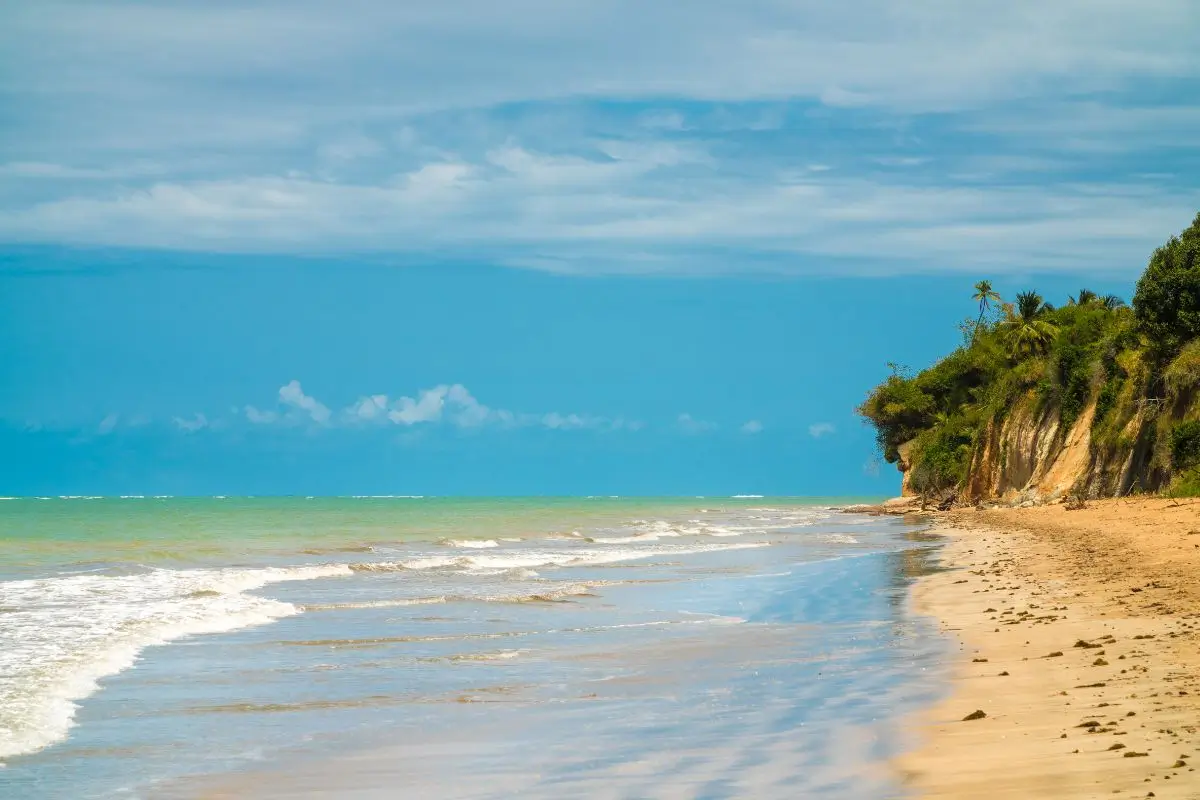 O que fazer Japaratinga: Explore a praia de Japaratinga