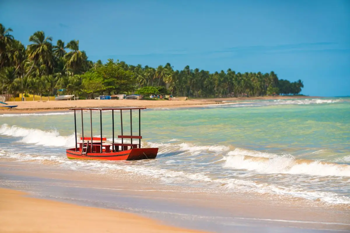 O que fazer Japaratinga: Melhores atrações e pontos turísticos para explorar a Costa dos Corais