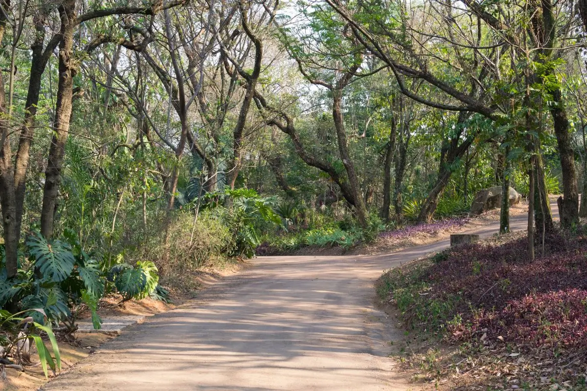 O que fazer em Jundiaí: Guia Completo Sobre O Que Fazer na Cidade