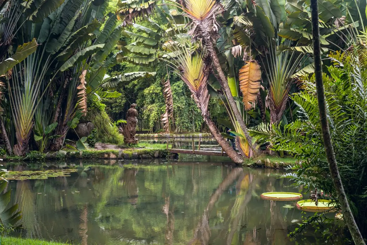 Roteiro de 1 dia no Parque Lage e Jardim Botânico do Rio de Janeiro