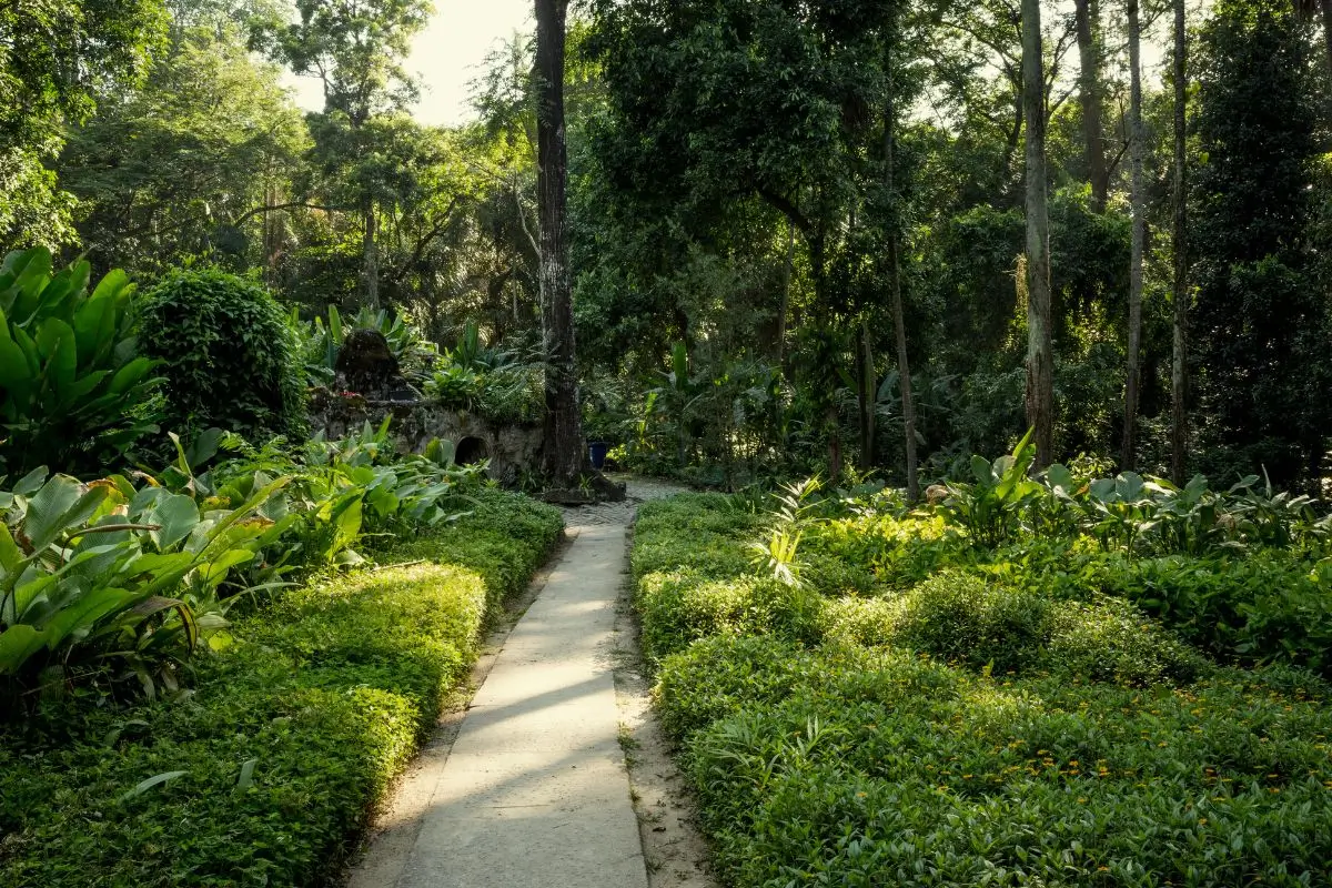 Roteiro de 1 dia no Parque Lage e Jardim Botânico do Rio de Janeiro