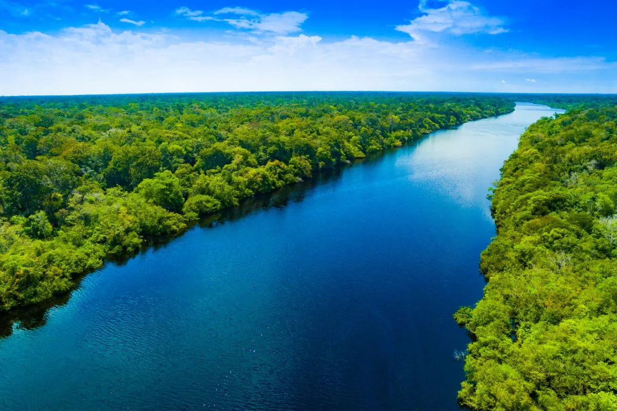 Foto aérea Floresta Amazônica