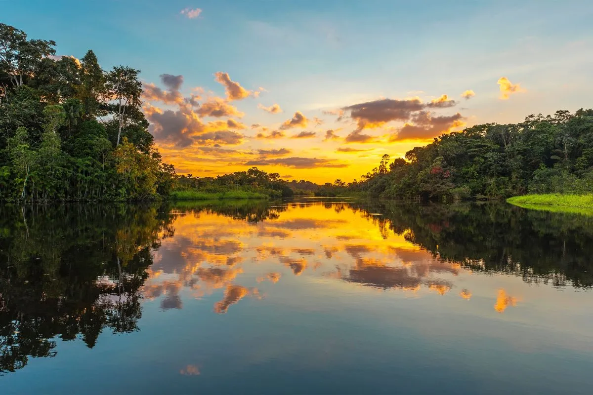 Rio na Floresta Amazônica