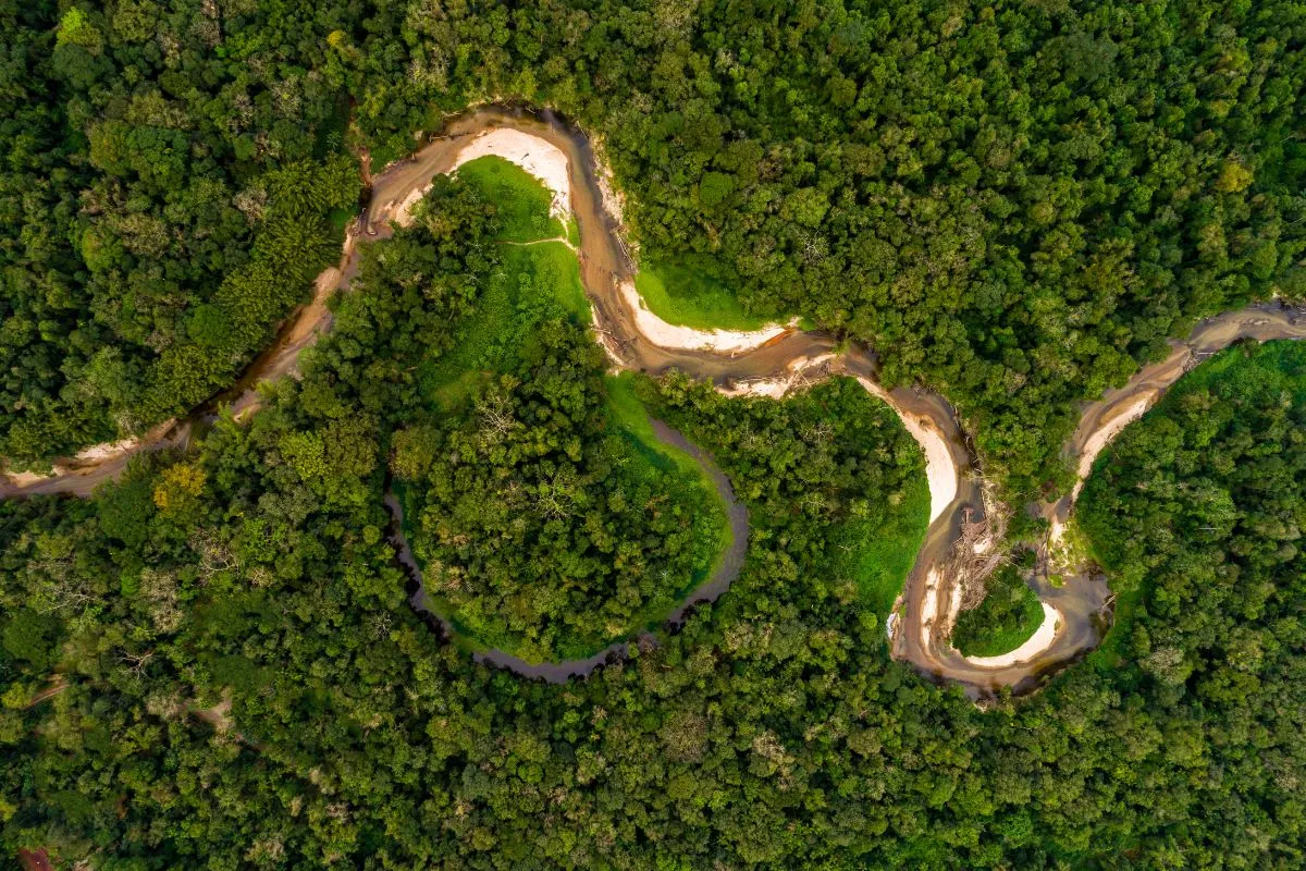 Foto aérea Floresta Amazônica